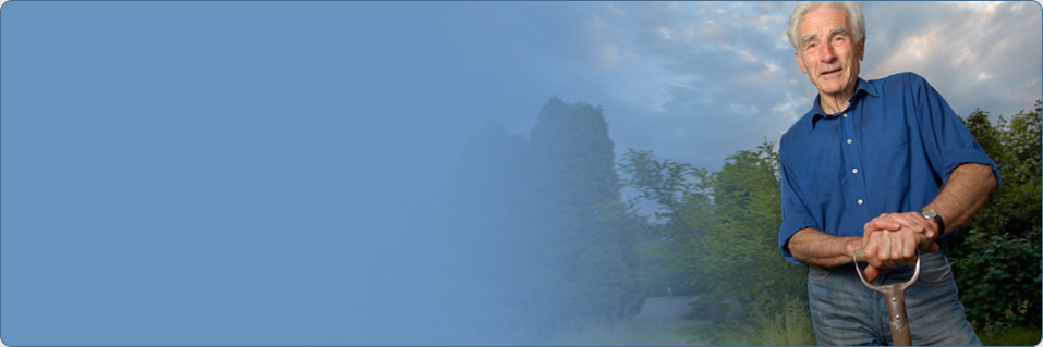 invest-banner-bg